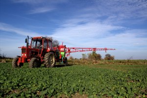 MTZ 82 oraz Krukowiak Apollo