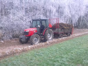 Massey Ferguson 3635