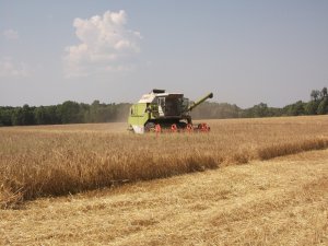 Claas Dominator 86