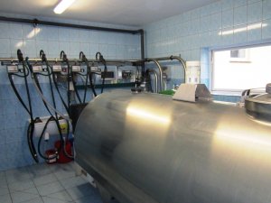 Dojarka przewodowa GEA Westfalia surge