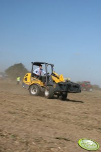 Agro Show 2011 - Mustang