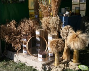 Agro Show 2011