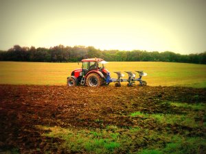 Zetor Proxima plus 85 & Overum CV 398