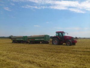 McCormick MTX 145