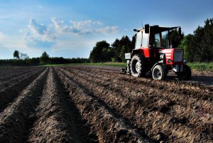 Wladimirec T-25A + Sadzarka Konkretna