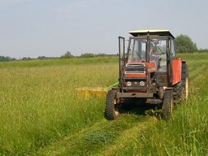 Zetor 8011 i Samasz economy 1.85