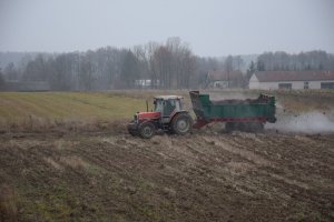 Massey Ferguson 3080 & Fortschritt T-088