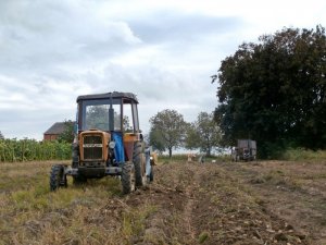 Ursus C-330 i kopaczka 609/0-2