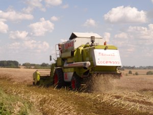 Claas Dominator 108 SL Maxi