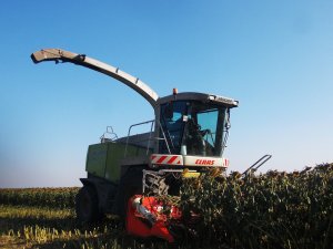 Claas Jaguar 850 + Kemper Champion 360