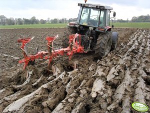 Massey Ferguson 3060 + Kuhn Huard