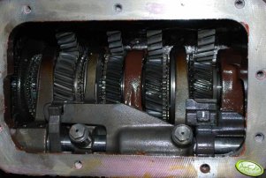 Massey Ferguson 3050 - skrzynia