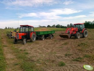 Ursus C-360 3P & C-360 & D-732 & Zetor Proxima 8441