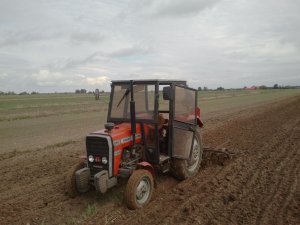 Massey ferguson 255