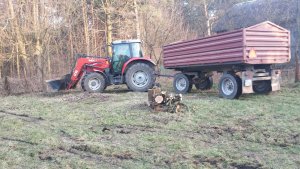 Massey Ferguson 5425+Brandys 9T