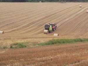Case maxxum 140 & Claas variant 360