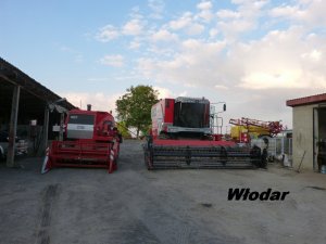 Massey ferguson 7256 cerea & Massey Ferguson 307