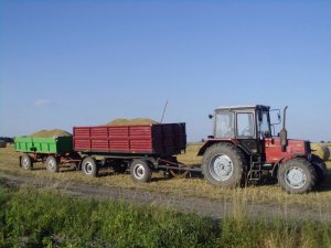 Belarus 820 i przyczepy