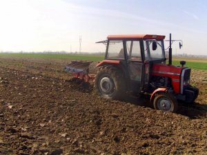 Massey Ferguson 255 + Niemeyer  2+1