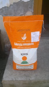 KWS Ambrosini