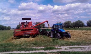 Bizon Z056 i New Holland