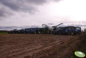 New Holland x 8 & Claas Jaguar x 2 