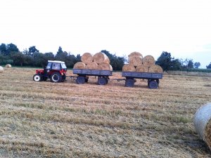 Zetor 5245 + 2 x przyczepa Autosan