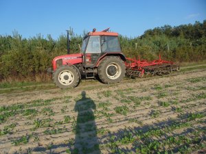 Zetor 5340 + Expom