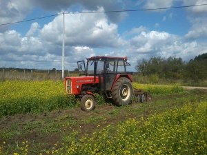 Ursus C-360 & Talerzówka