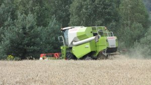 Claas Avero 240