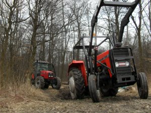 Ursus 3512 & Massey Ferguson 6260