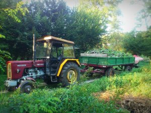 Ursus C-360 3P & Autosan