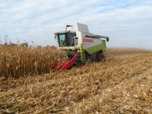 Claas Lexion 480