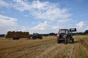 Massey Ferguson & Laweta & Ursus C-902 & Quicke