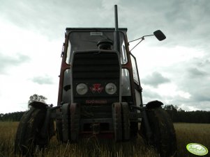 Massey Ferguson 255