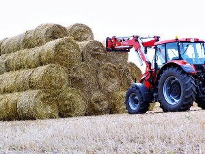 Zetor Forterra 135 16V