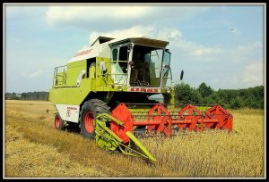 Claas Dominator 86