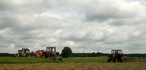 Massey Ferguson 255 & Massey Ferguson 595 & Lamborghini 874-90 Turbo