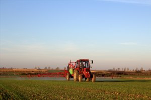 MTZ 82 oraz Krukowiak Apollo