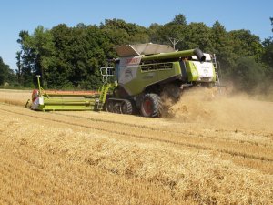 Claas Lexion 780 TT