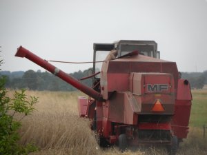 Massey Ferguson 330