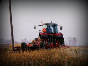 Massey Ferguson 6495