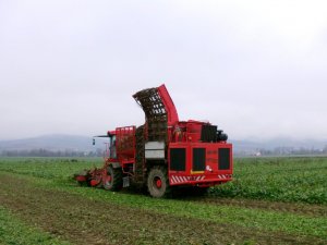 Holmer TerraDos