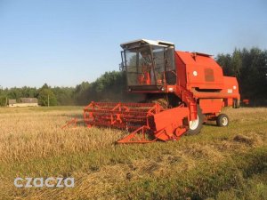 Bizon Rekord Z058