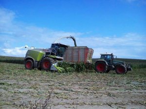 Claas Jaguar 950 & Fendt 818 Vario