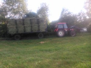 Zetor 7745 & Przyczepa 10t