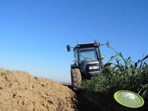 Lamborghini 1050 Premium