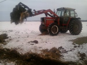 Massey Ferguson 1114