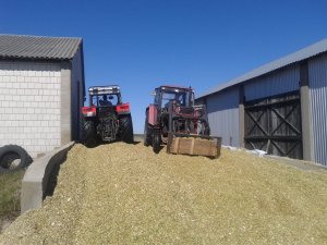 Zetor 8011 & Ursus 1014