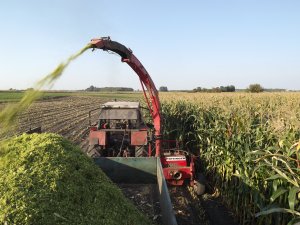 Pottinger mex profi k